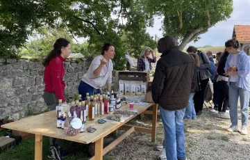 marché bucolique en région parisienne
