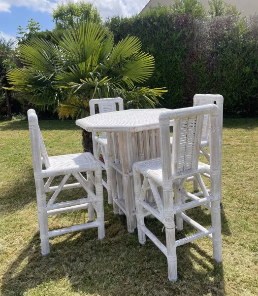 ref 103 (salon de jardin xxl)
