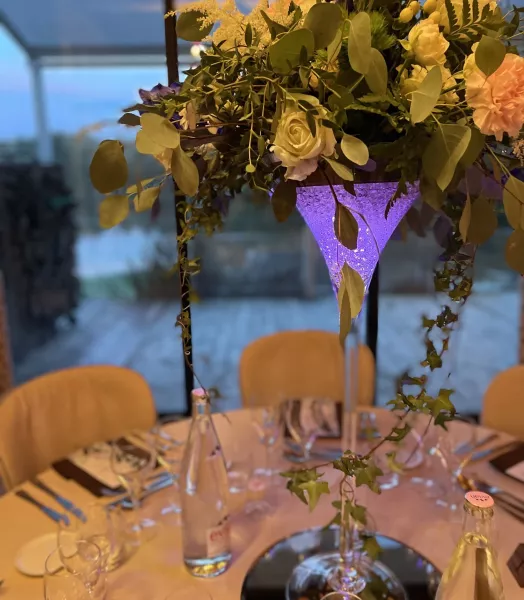 ref 133 (vases martini)